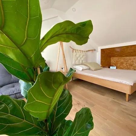Nestled In Bica: Small Studio, Big Experience リスボン